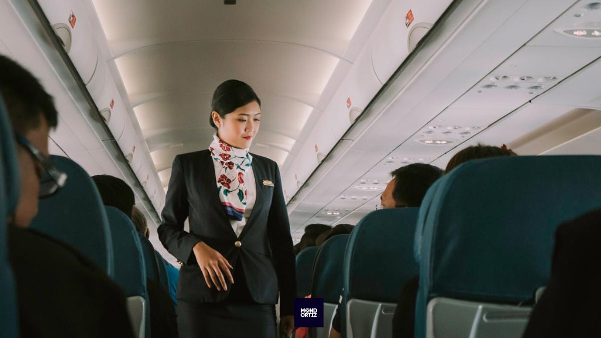 how-much-do-vip-flight-attendants-earn-11-most-asked-question